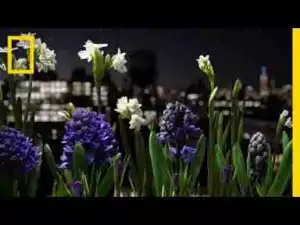 Video: Watch a Garden Come to Life in This Absolutely Breathtaking Time-Lapse | Short Film Showcase